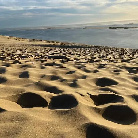 12 Pers Avec Piscine Chauffee 1 Mai Au 30 Sept Arcachon