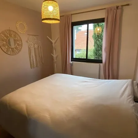 Villa Arcachon 12 Pers Avec Piscine Chauffee Et Rafraichisseur Villa