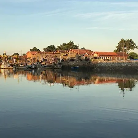 Villa Villa Arcachon 12 Pers Avec Piscine Chauffee Et Rafraichisseur *