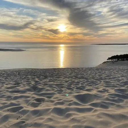 Villa Arcachon 12 Pers Avec Piscine Chauffee Et Rafraichisseur Villa Arcachon